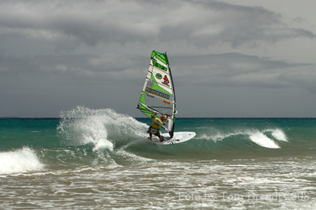 Fuerte Andre mini wave