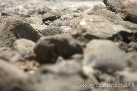 A Pozo Day - the Finals 02