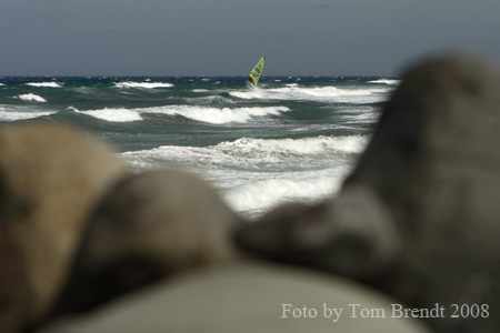 A Pozo Day - the Finals 11