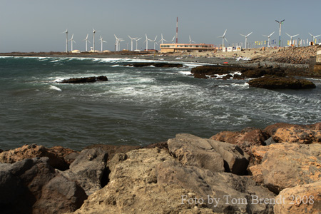 Pozo Competition Area