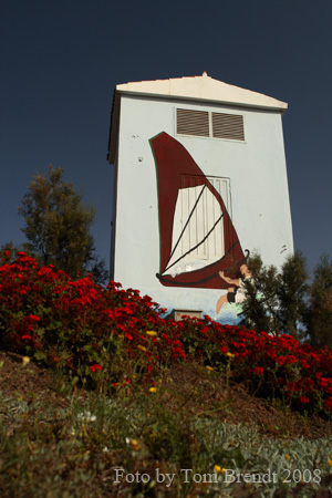 Pozo Windsurf everywhere