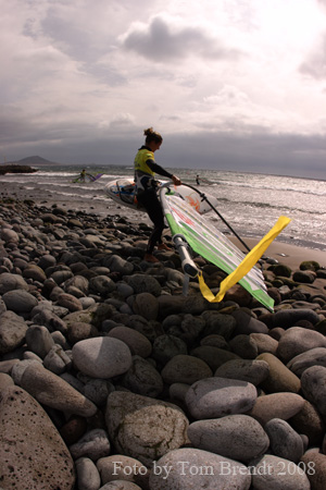 Pozo early Freestyle